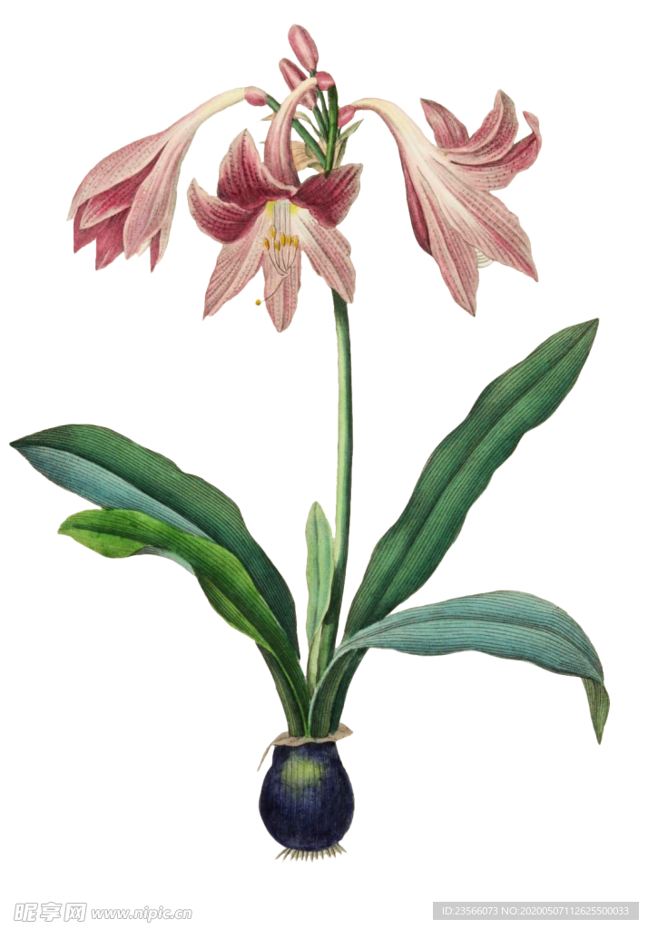 复古鲜花主题装饰图案