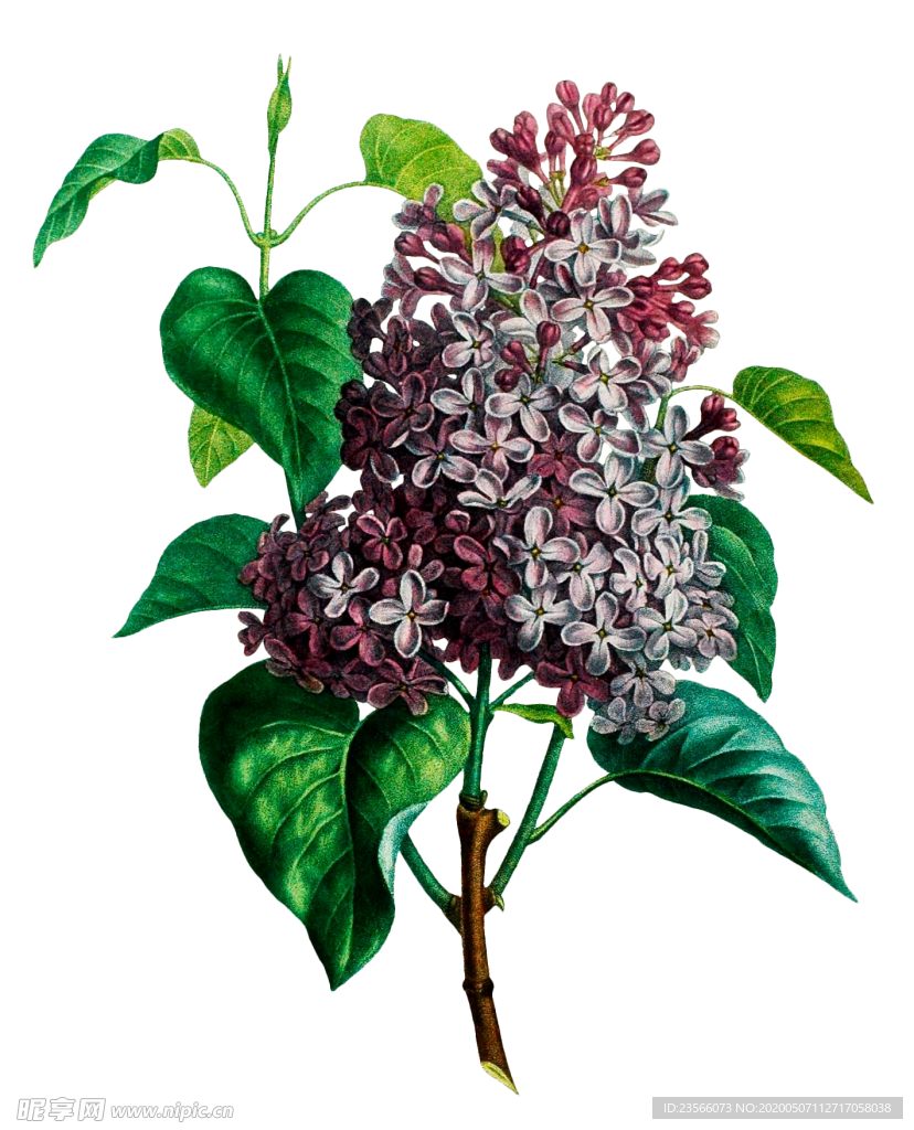 复古鲜花主题装饰图案