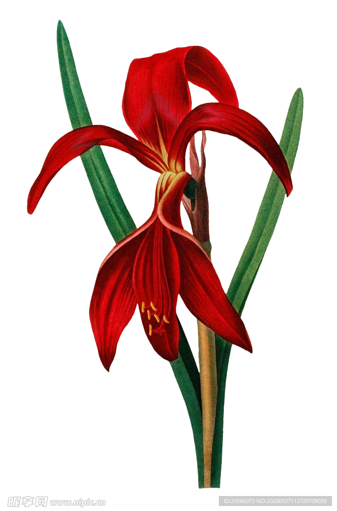 复古鲜花主题装饰图案