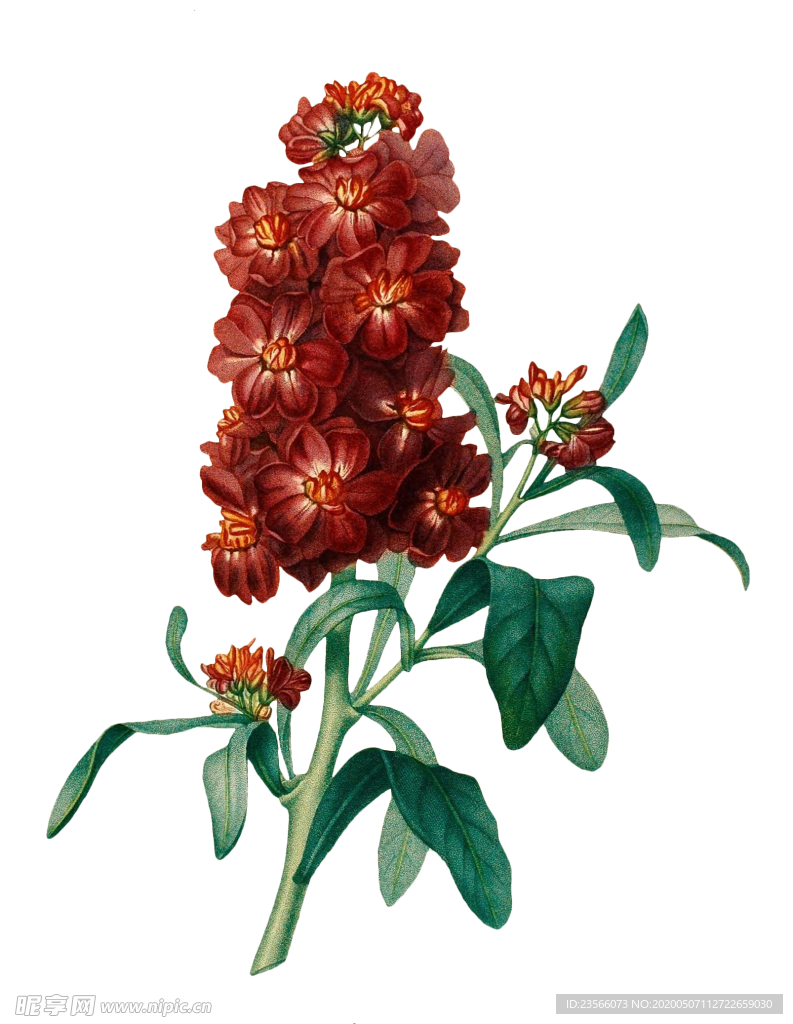 复古鲜花主题装饰图案