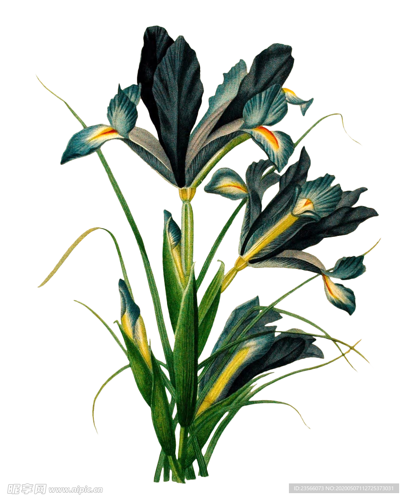 复古鲜花主题装饰图案