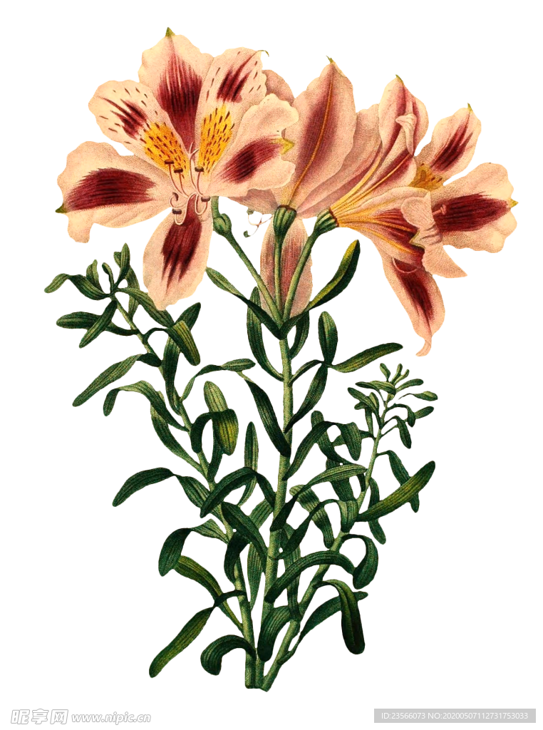 复古鲜花主题装饰图案