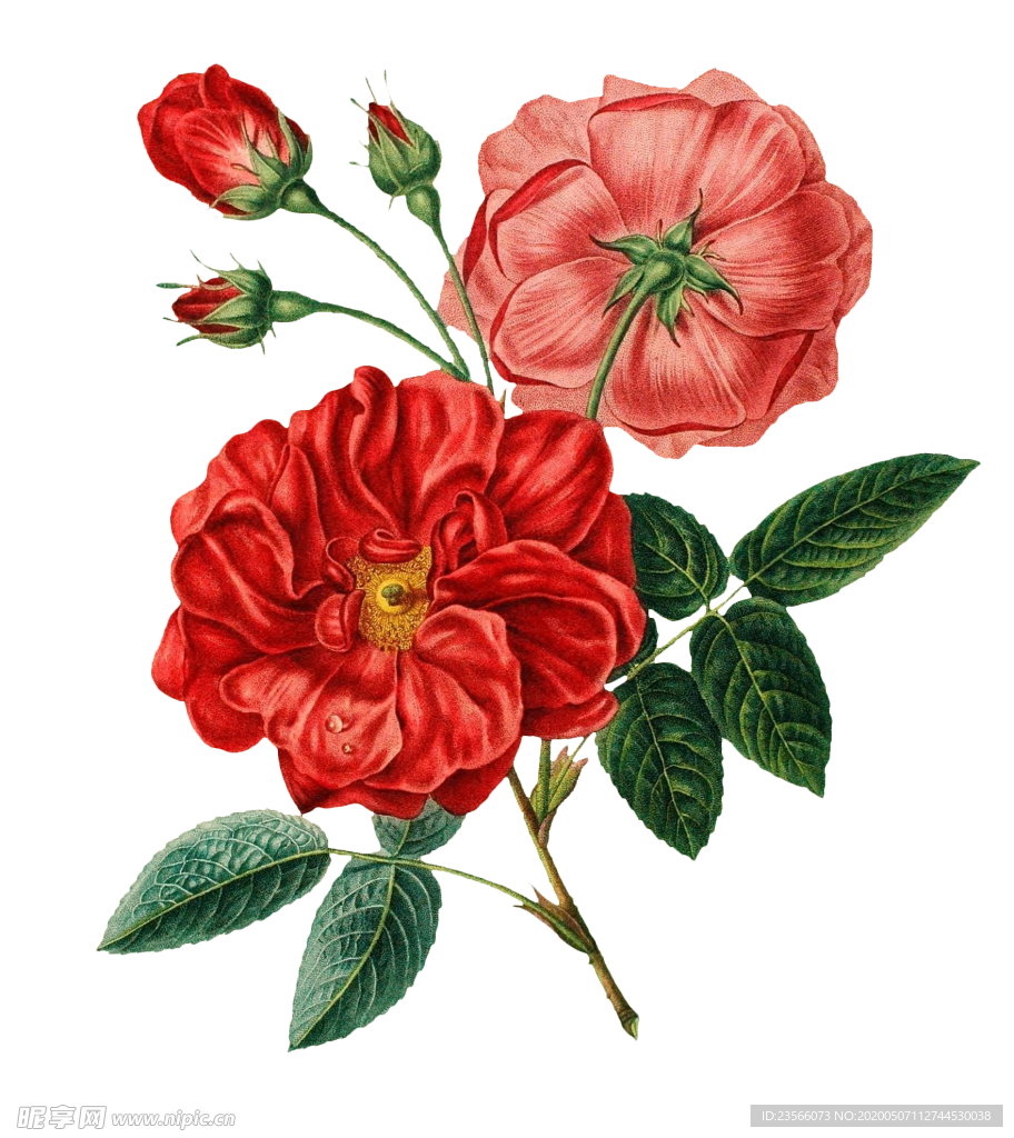 复古鲜花主题装饰图案