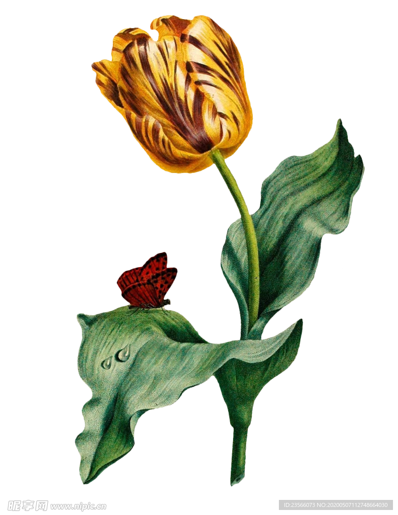 复古鲜花主题装饰图案