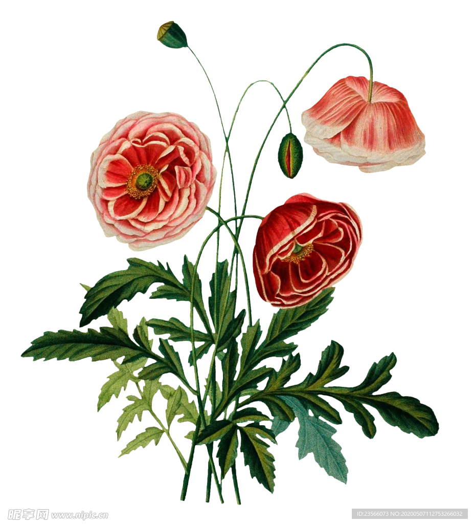 复古鲜花主题装饰图案