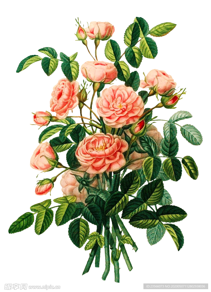 复古鲜花主题装饰图案