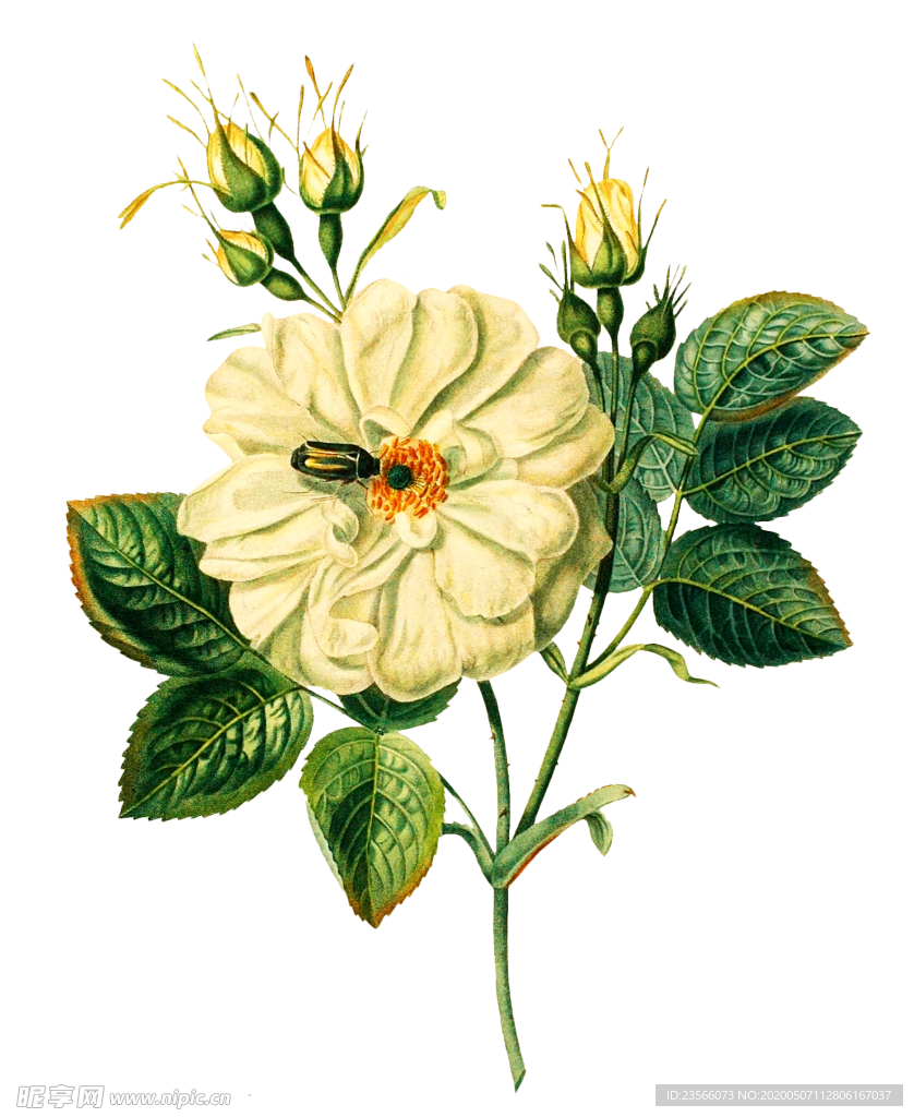 复古鲜花主题装饰图案