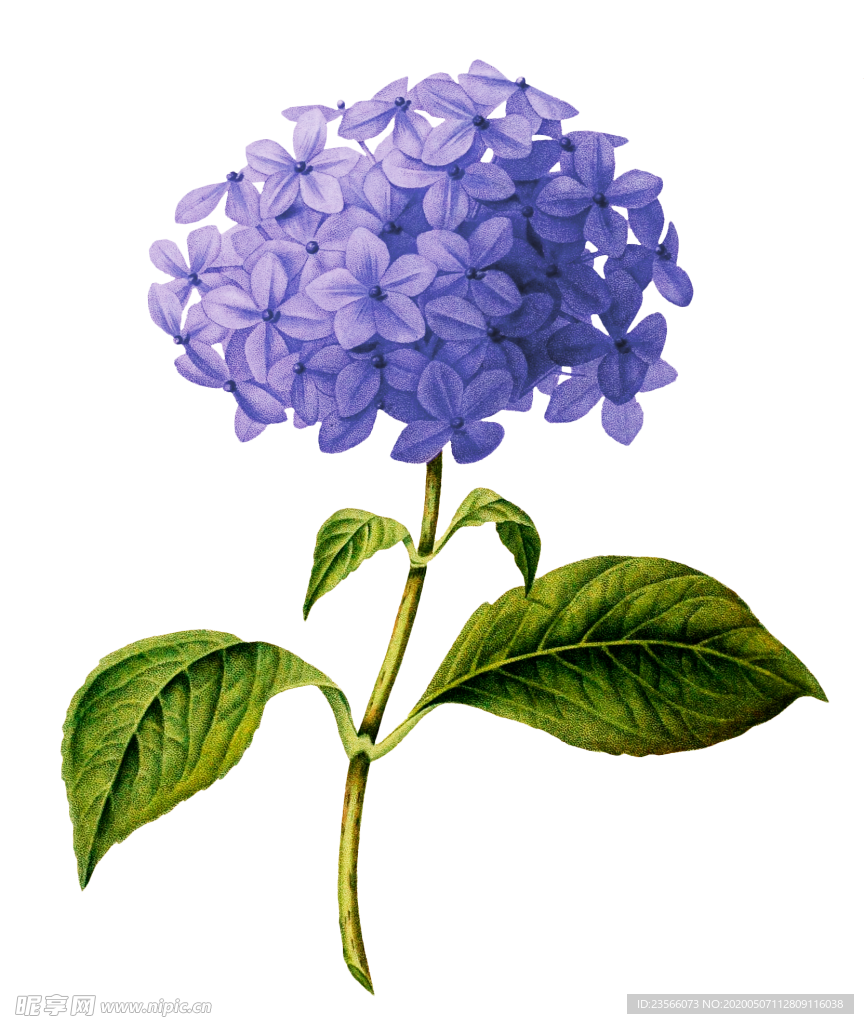 复古鲜花主题装饰图案