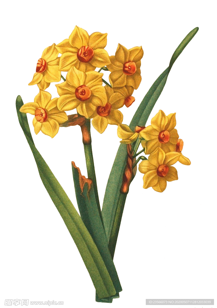 复古鲜花主题装饰图案