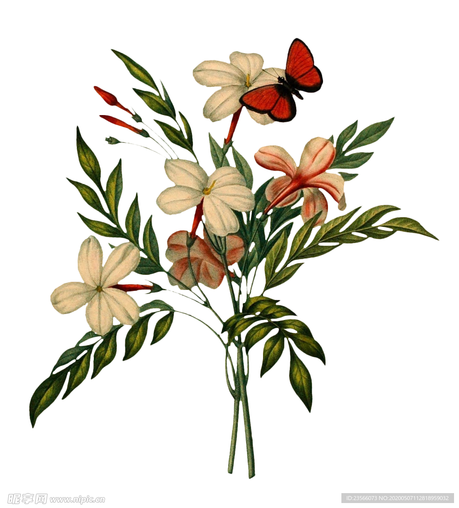 复古鲜花主题装饰图案