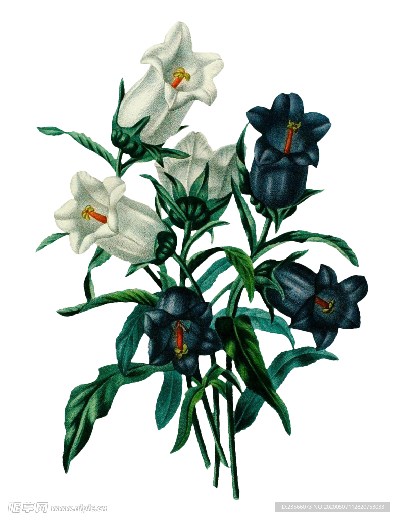 复古鲜花主题装饰图案