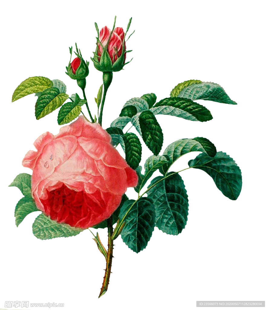 复古鲜花主题装饰图案