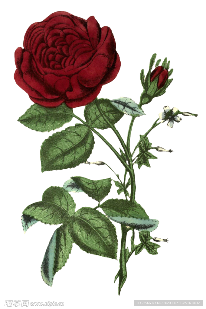 复古鲜花主题装饰图案