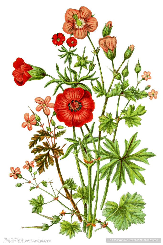 复古鲜花主题装饰图案