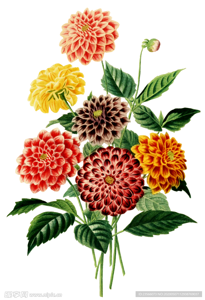 复古鲜花主题装饰图案