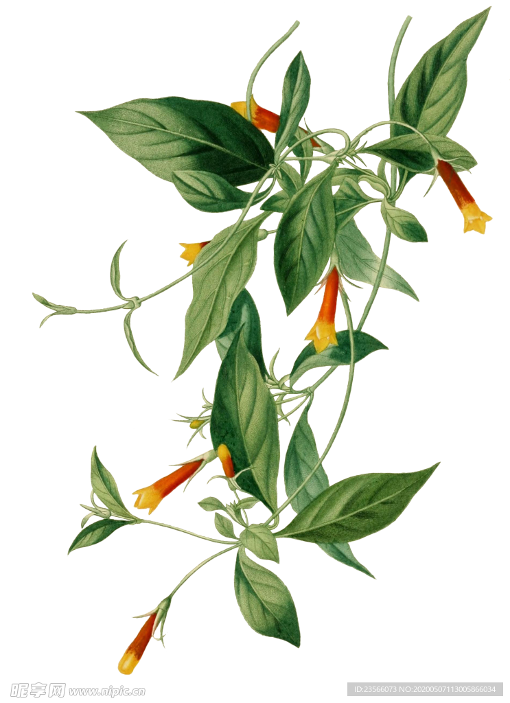 复古鲜花主题装饰图案