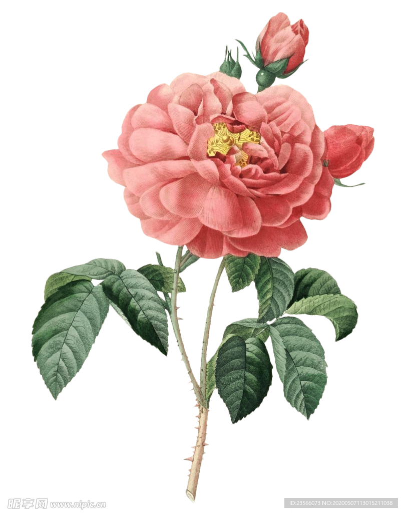 复古鲜花主题装饰图案