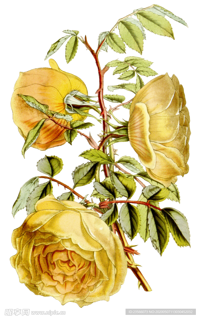 复古鲜花主题装饰图案