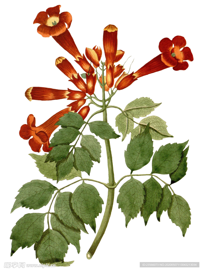 复古鲜花主题装饰图案