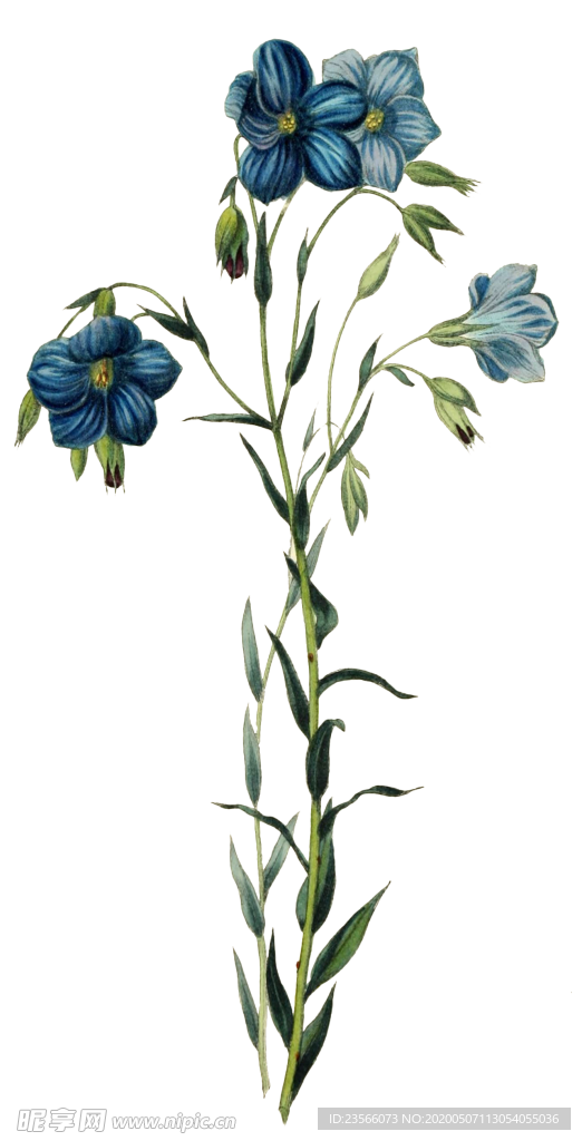 复古鲜花主题装饰图案