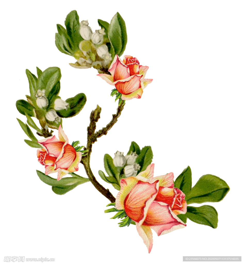 复古鲜花主题装饰图案