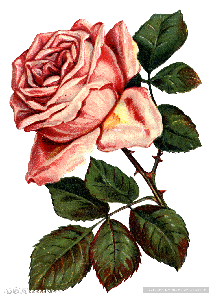 复古鲜花主题装饰图案