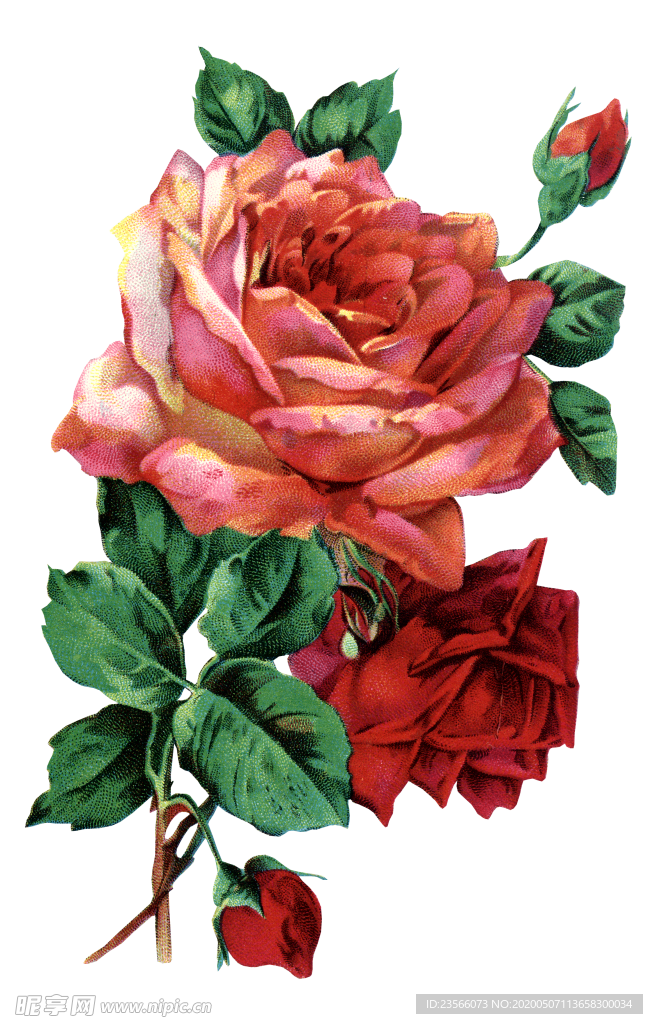 复古鲜花主题装饰图案