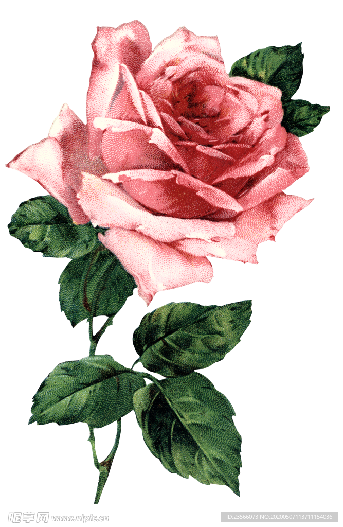 复古鲜花主题装饰图案