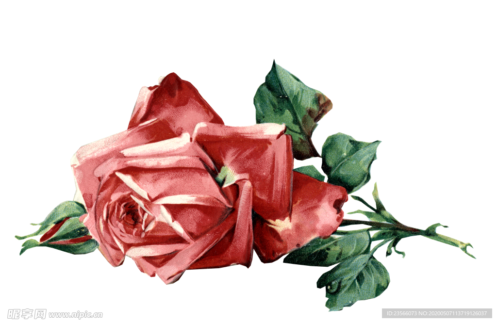 复古鲜花主题装饰图案