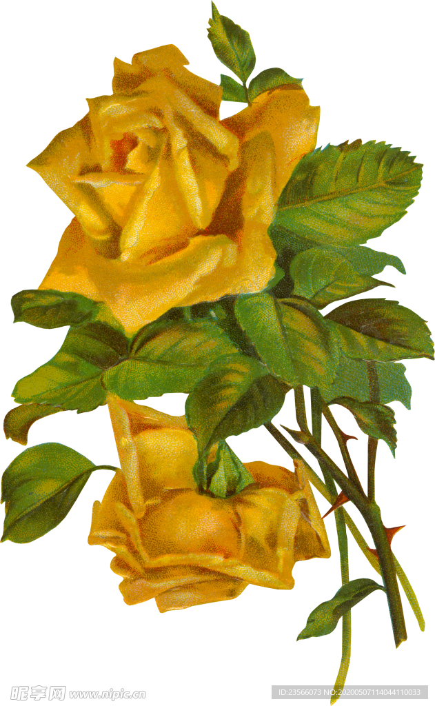 复古鲜花主题装饰图案