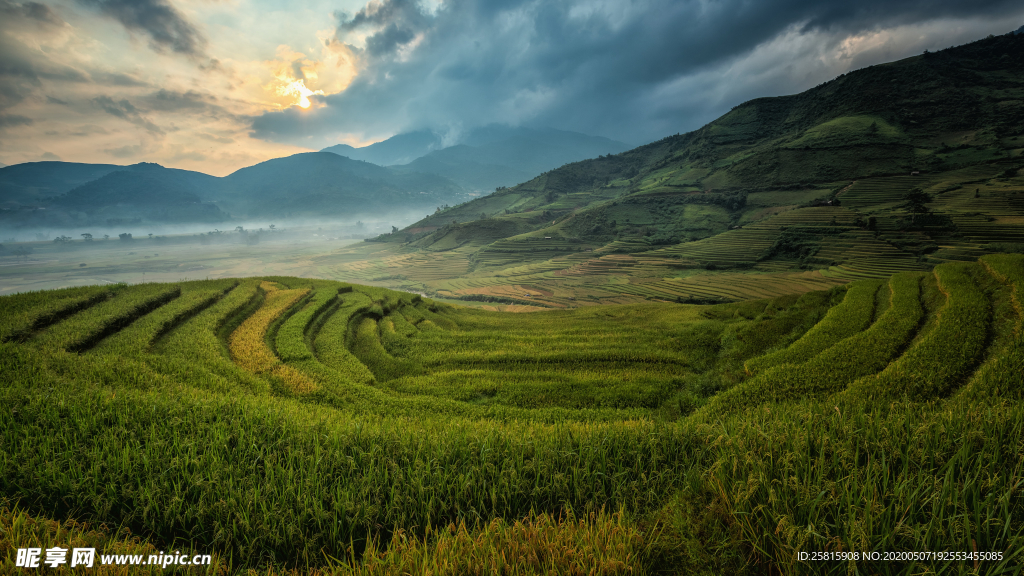 层叠错落的绿色梯田图片