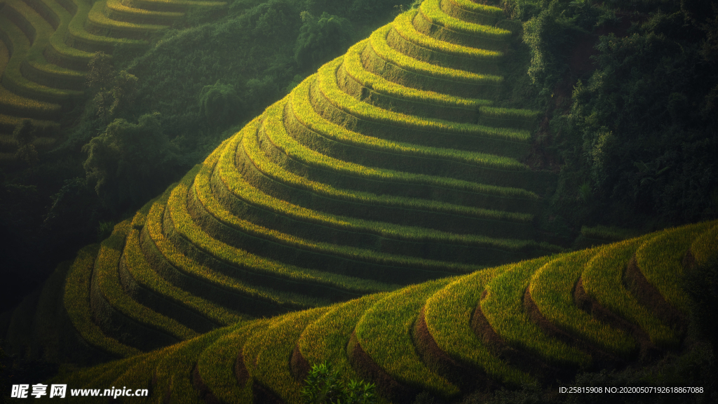 梯田 田园 农田 田野 梯田风