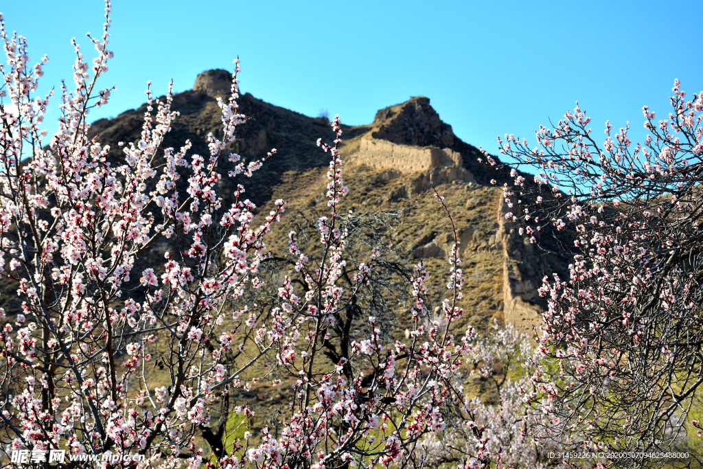 山西省大同市阳高县守口堡