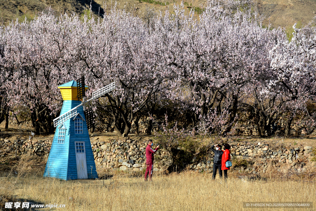 山西省大同市阳高县守口堡