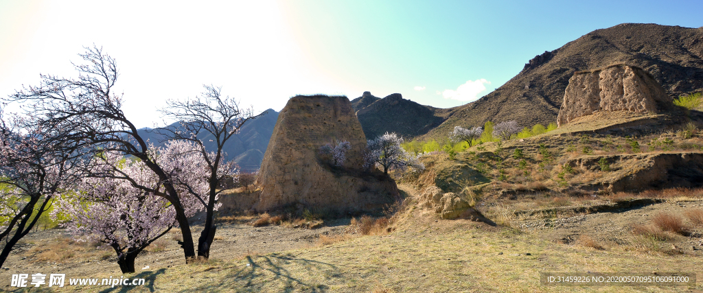 山西省大同市阳高县守口堡