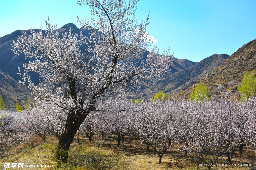 山西省大同市阳高县守口堡