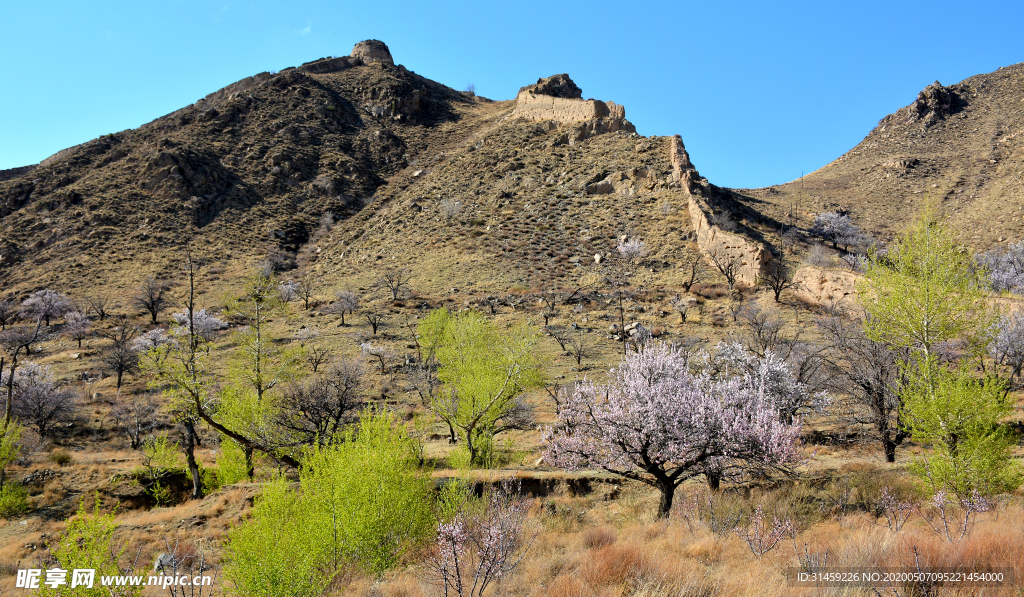 山西省大同市阳高县守口堡