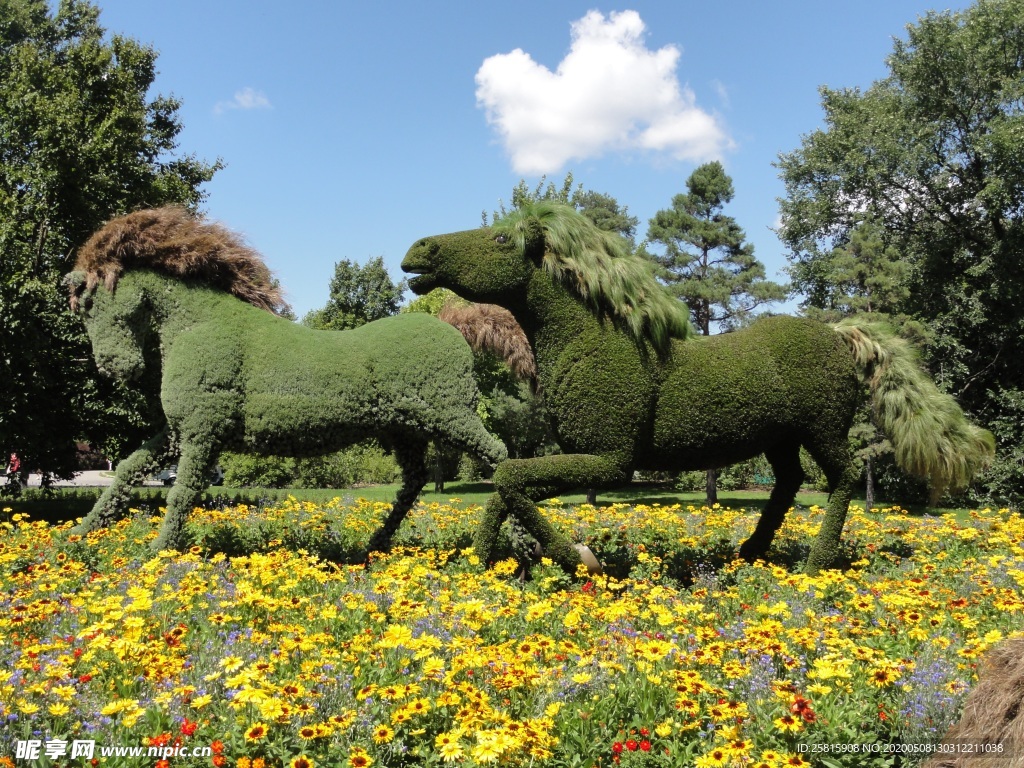 蒙特利尔建筑图片