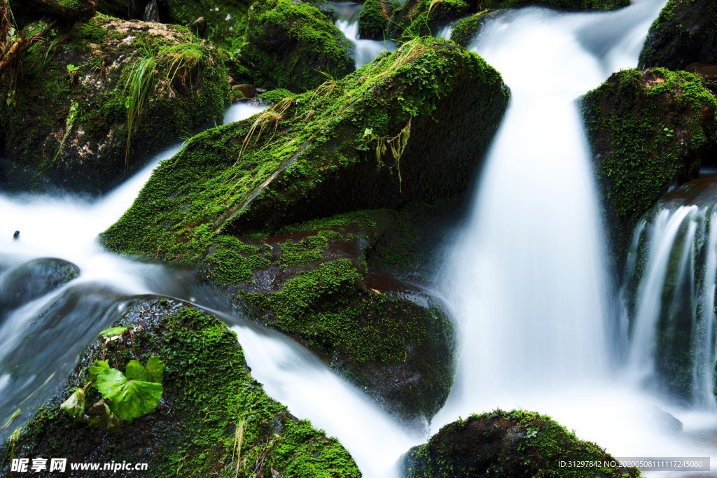 青山青苔瀑布