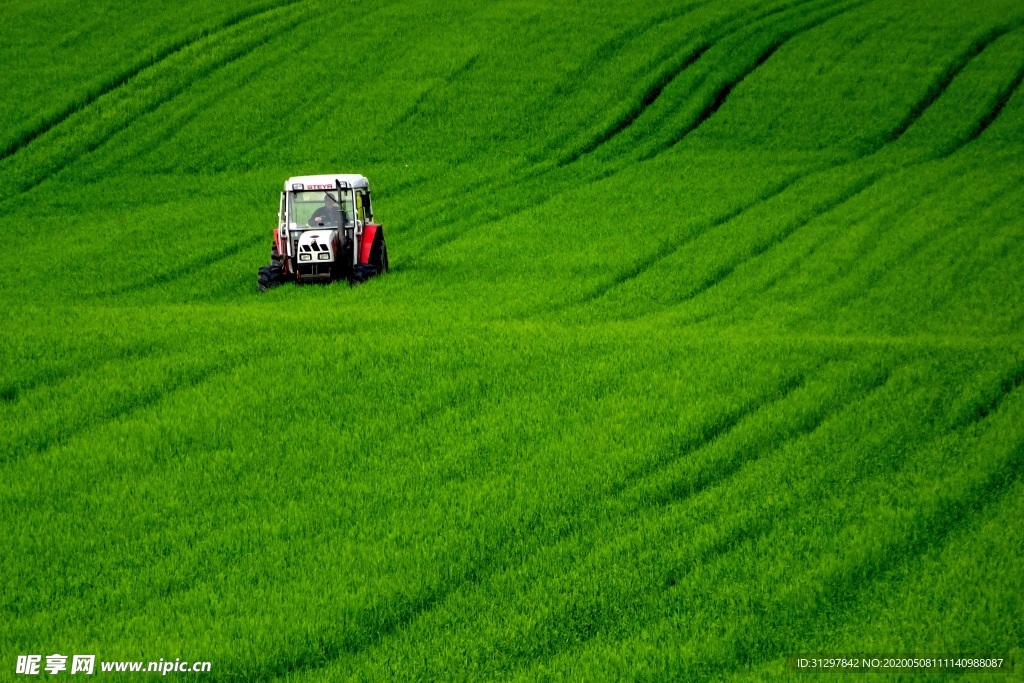 草地上的除草机