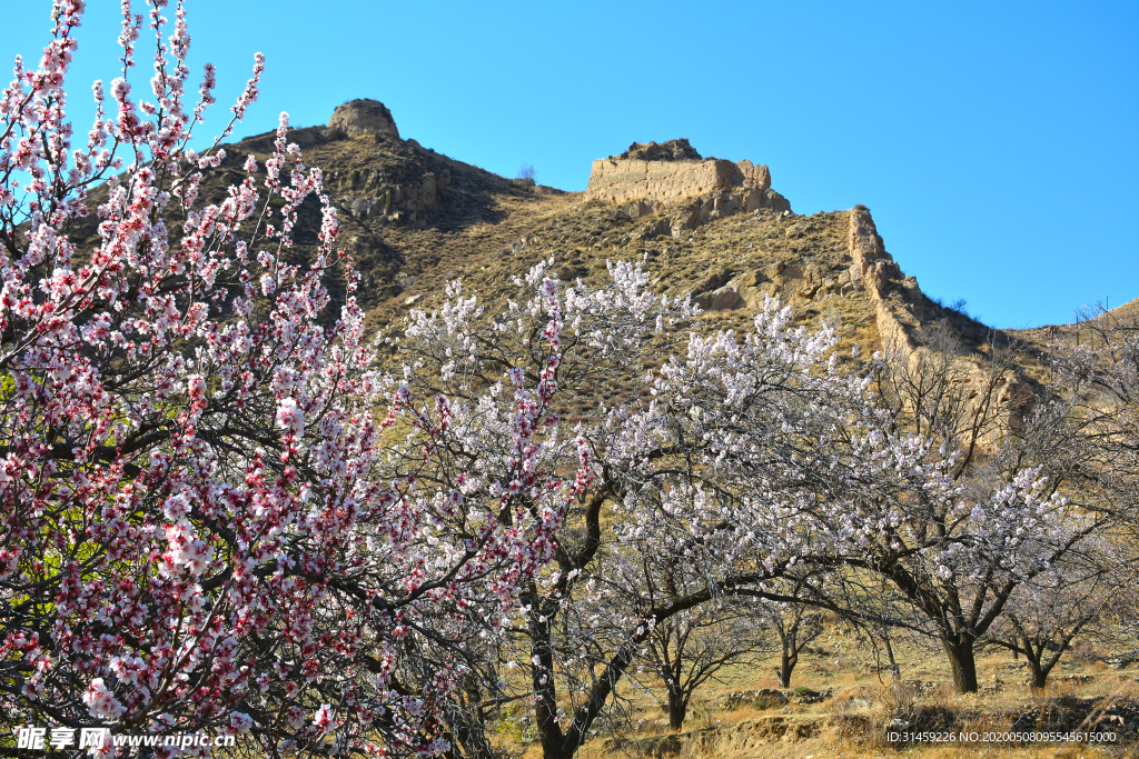 山西省大同市阳高县守口堡