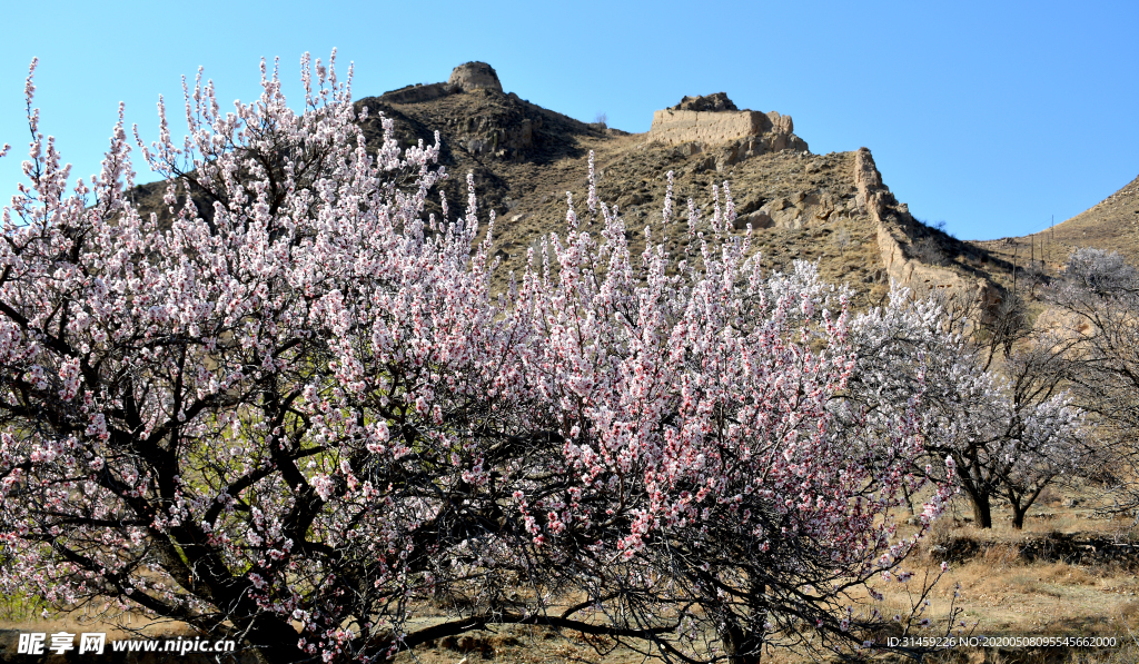 山西省大同市阳高县守口堡