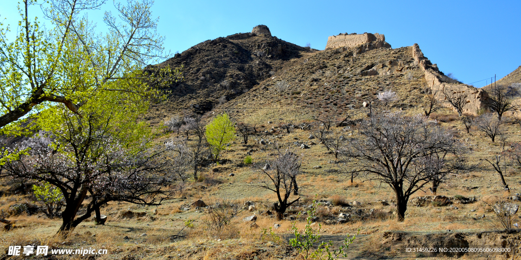 山西省大同市阳高县守口堡