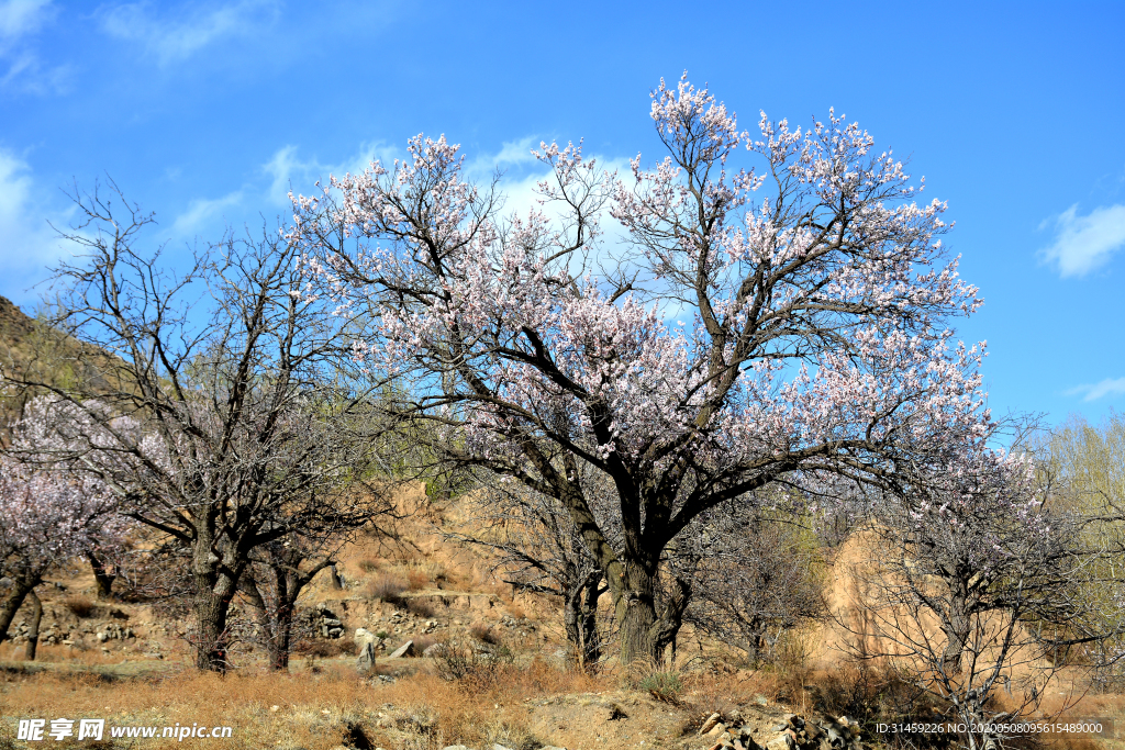 山西省大同市阳高县守口堡