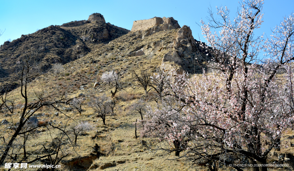 山西省大同市阳高县守口堡
