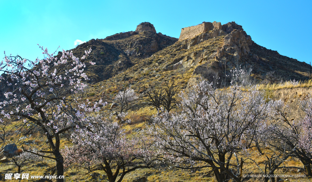 山西省大同市阳高县守口堡