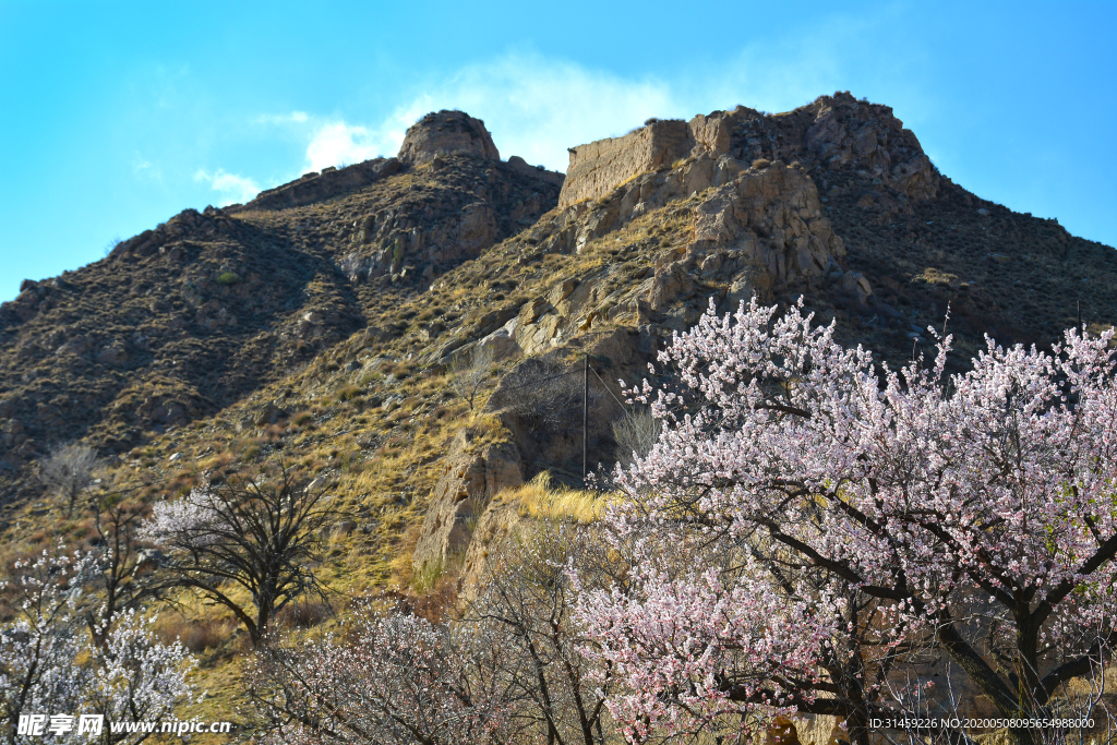 山西省大同市阳高县守口堡