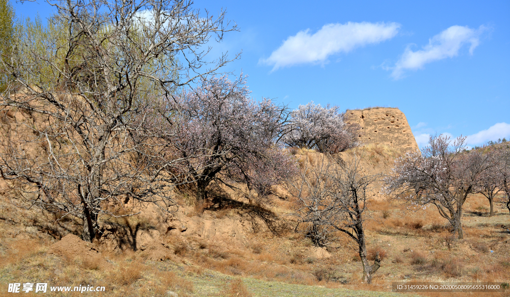 山西省大同市阳高县守口堡
