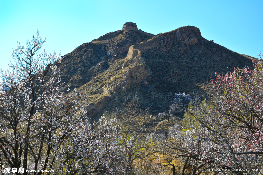 山西省大同市阳高县守口堡