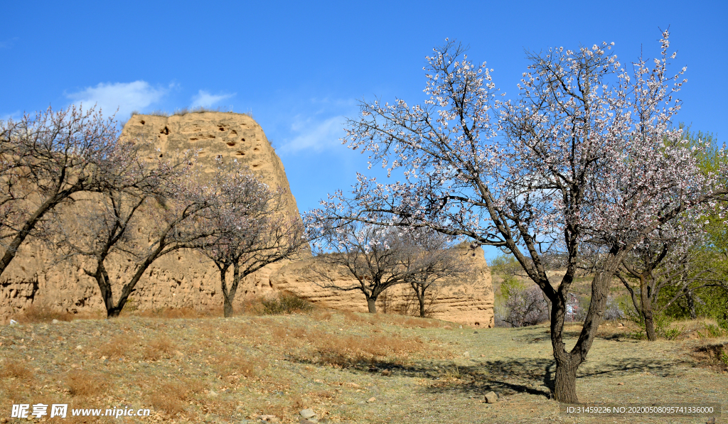 山西省大同市阳高县守口堡